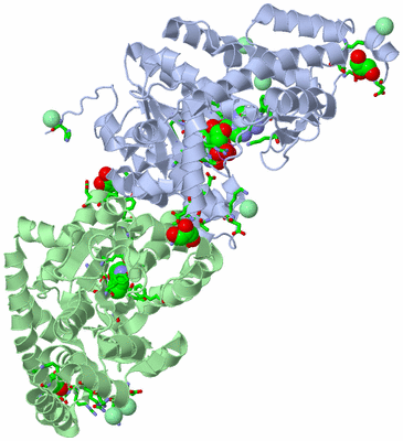 Image Asym./Biol. Unit - sites