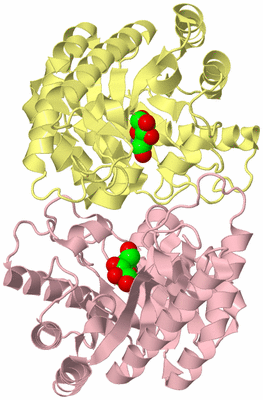 Image Biological Unit 2