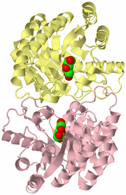 Image Biological Unit 2