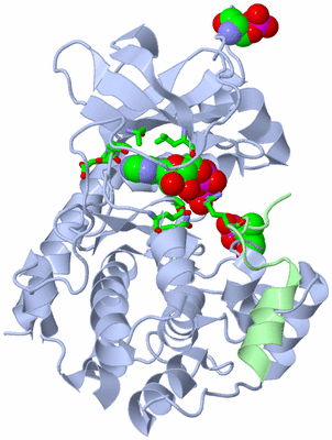 Image Asym./Biol. Unit - sites