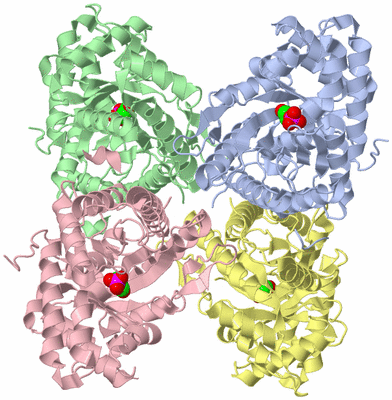 Image Asym./Biol. Unit