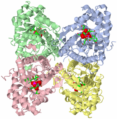 Image Asym./Biol. Unit - sites