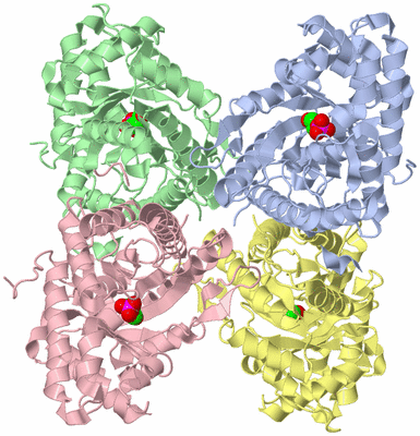 Image Asym./Biol. Unit