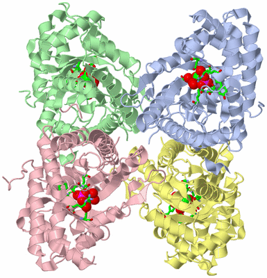 Image Asym./Biol. Unit - sites