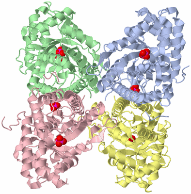 Image Asym./Biol. Unit