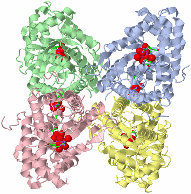 Image Asym./Biol. Unit - sites