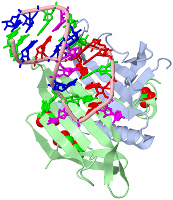 Image Biological Unit 1