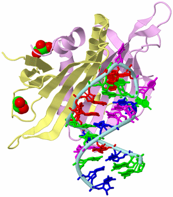 Image Biological Unit 2