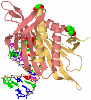 Image Biological Unit 3