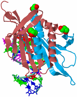 Image Biological Unit 4