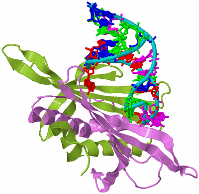 Image Biological Unit 5