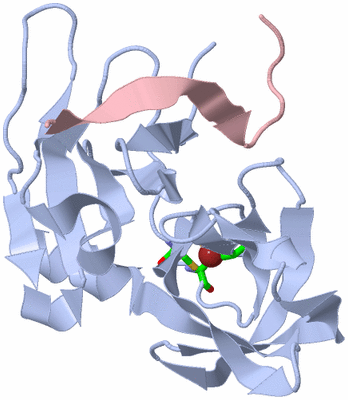 Image Biol. Unit 1 - sites