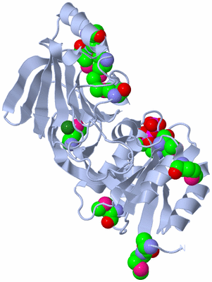 Image Biological Unit 1