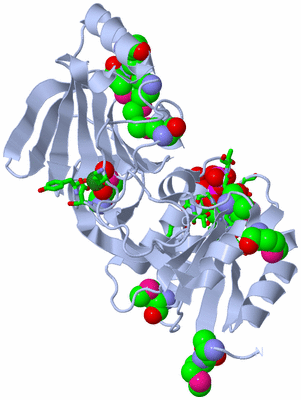 Image Biol. Unit 1 - sites