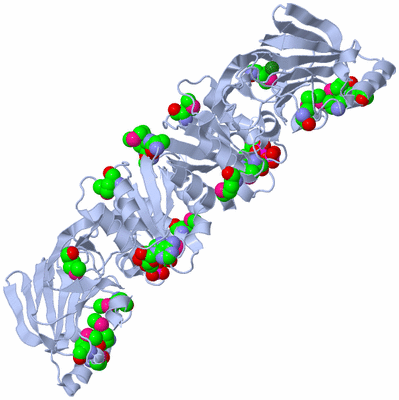 Image Biological Unit 2