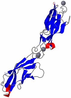 Image Asymmetric Unit