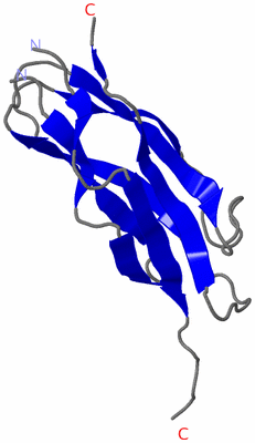 Image Asymmetric Unit