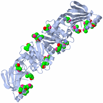 Image Biological Unit 2