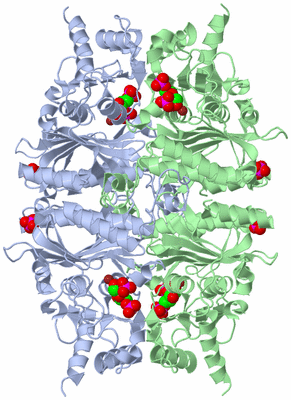 Image Biological Unit 1