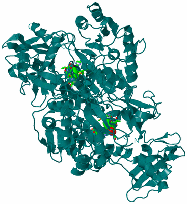 Image Biol. Unit 1 - sites