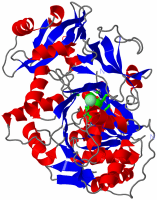 Image Asym. Unit - sites