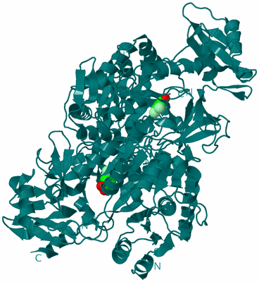 Image Biological Unit 1