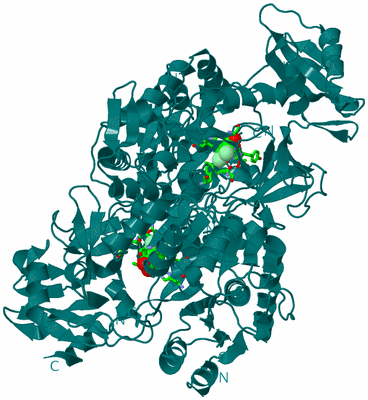 Image Biol. Unit 1 - sites