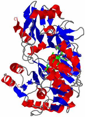 Image Asym. Unit - sites