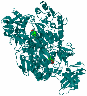 Image Biological Unit 1