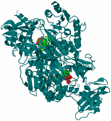 Image Biol. Unit 1 - sites