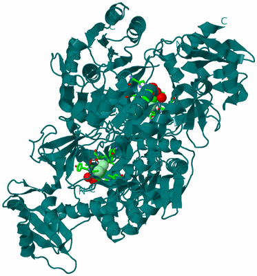 Image Biol. Unit 1 - sites