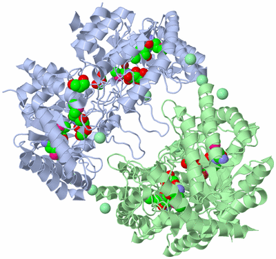 Image Biological Unit 1