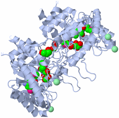 Image Biological Unit 2