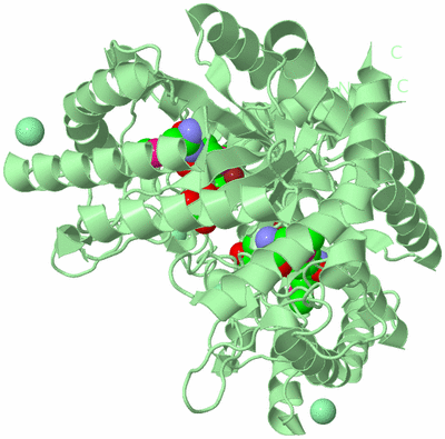 Image Biological Unit 3