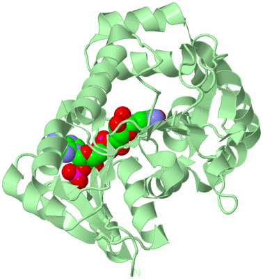 Image Biological Unit 2