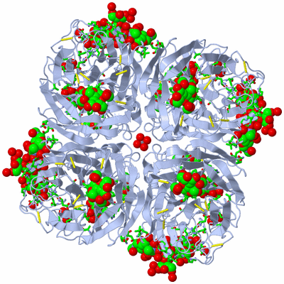 Image Biol. Unit 1 - sites