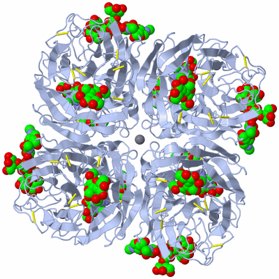 Image Biological Unit 1