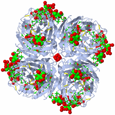 Image Biol. Unit 1 - sites