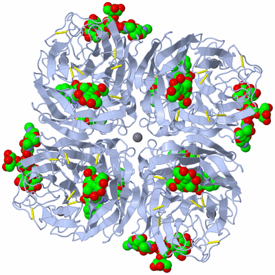 Image Biological Unit 1