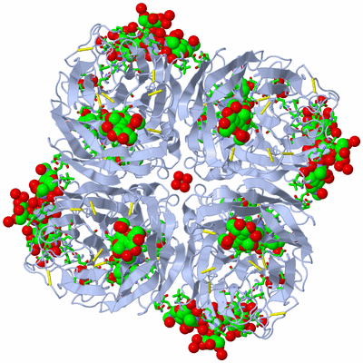 Image Biol. Unit 1 - sites