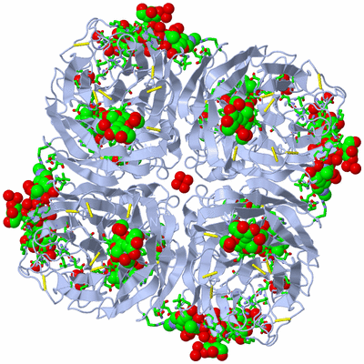 Image Biol. Unit 1 - sites