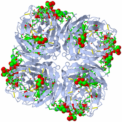 Image Biol. Unit 1 - sites