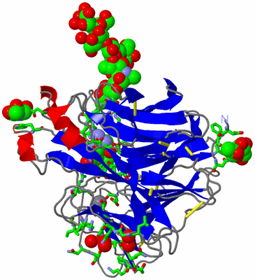 Image Asym. Unit - sites