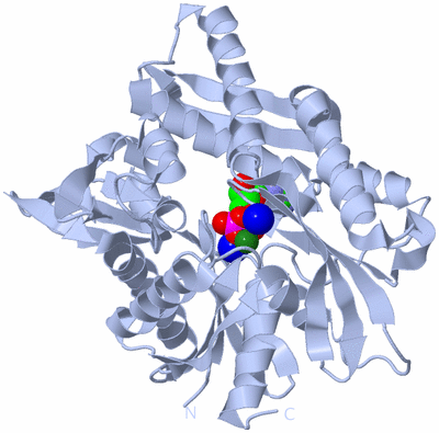 Image Biological Unit 1