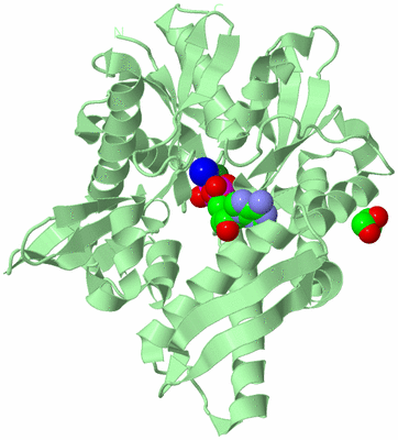 Image Biological Unit 2