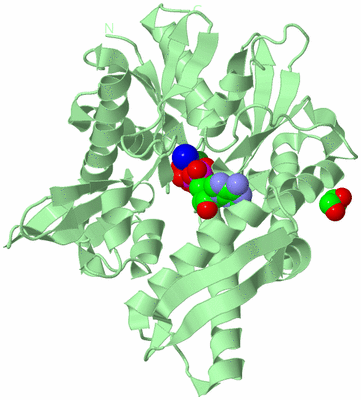 Image Biological Unit 2