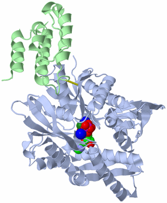 Image Asym./Biol. Unit