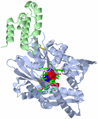 Image Asym./Biol. Unit - sites