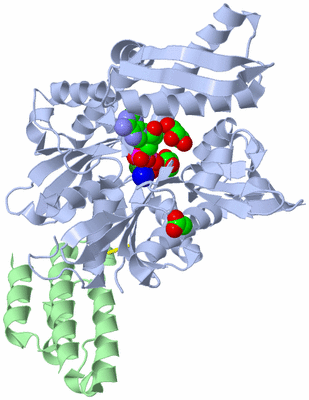 Image Asym./Biol. Unit