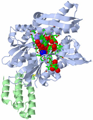 Image Asym./Biol. Unit - sites